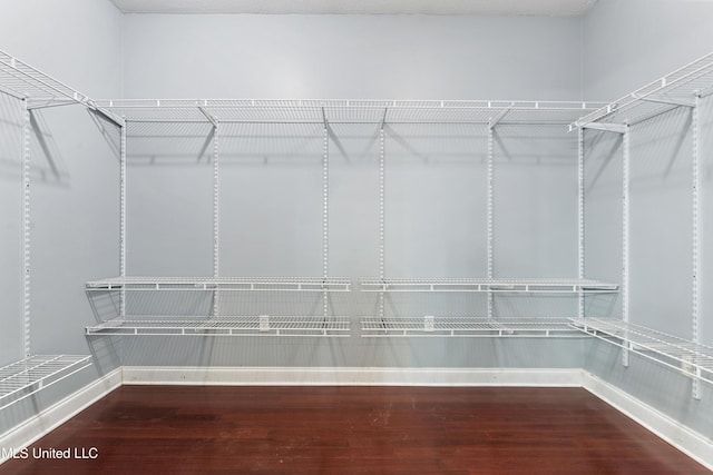 spacious closet featuring wood-type flooring