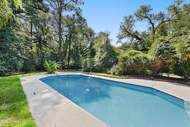 view of pool with a diving board