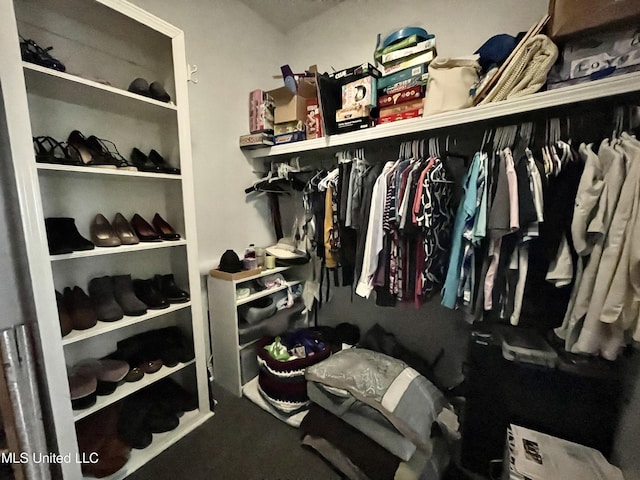 view of spacious closet