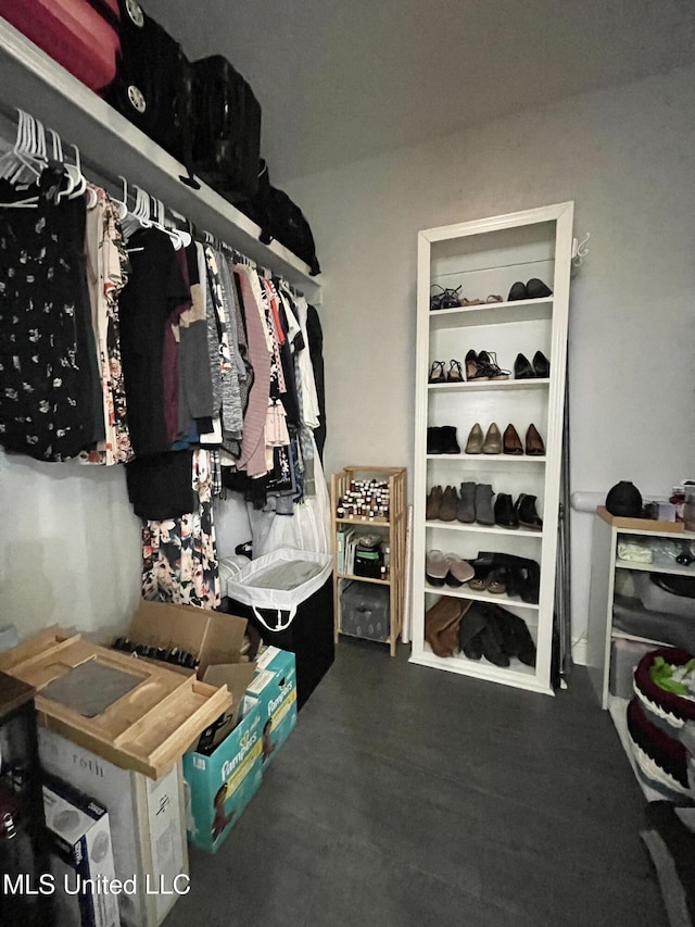 view of walk in closet