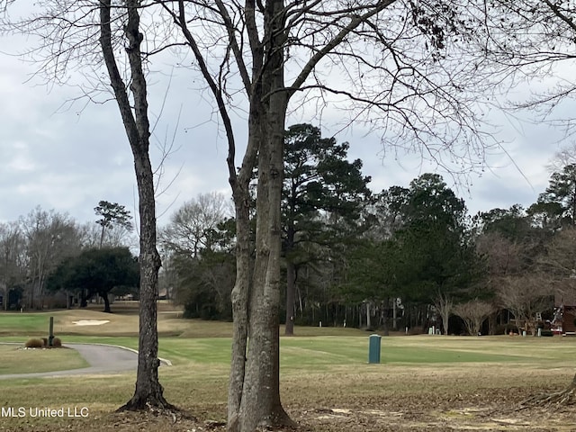 view of home's community with a yard