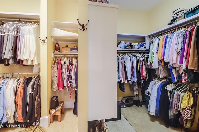 walk in closet featuring carpet