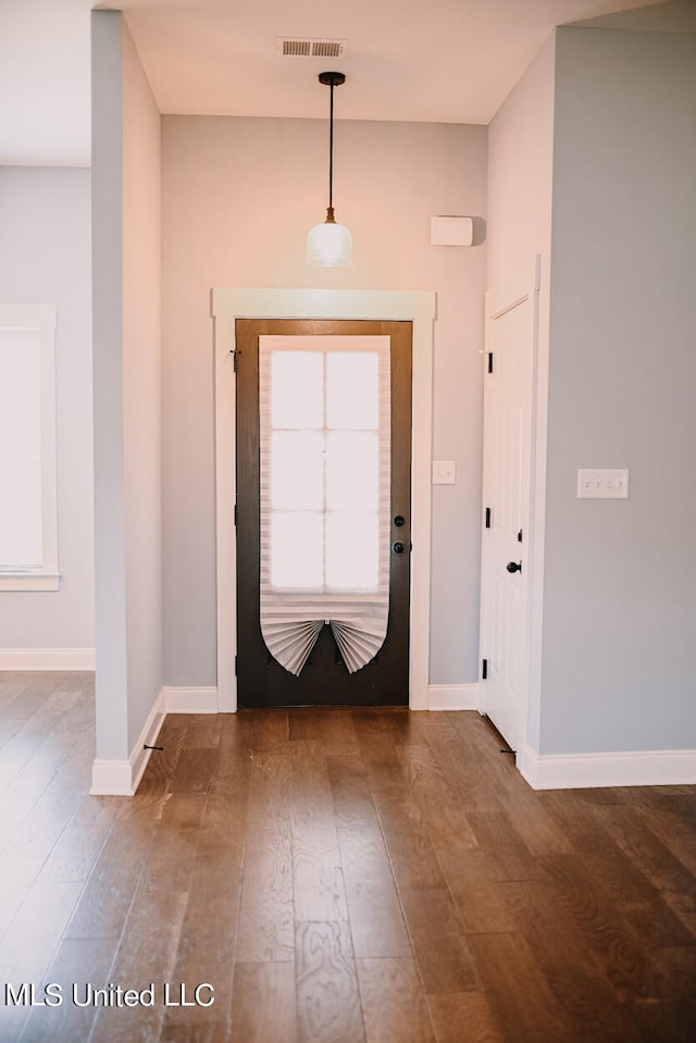 foyer entrance featuring wood-type flooring and a healthy amount of sunlight