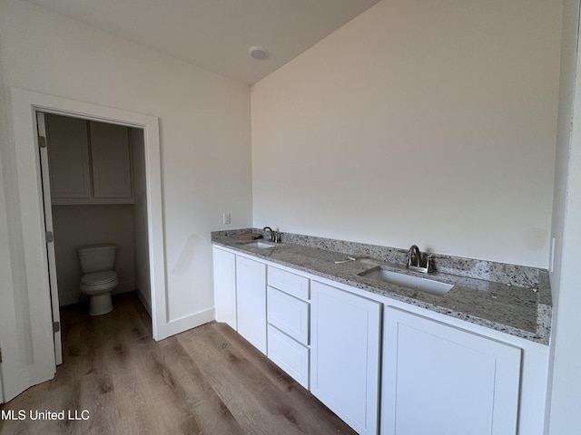 bathroom with hardwood / wood-style flooring, vanity, and toilet