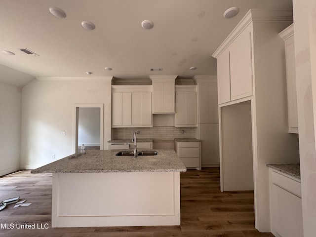 kitchen with white cabinets, light stone countertops, sink, and a kitchen island with sink