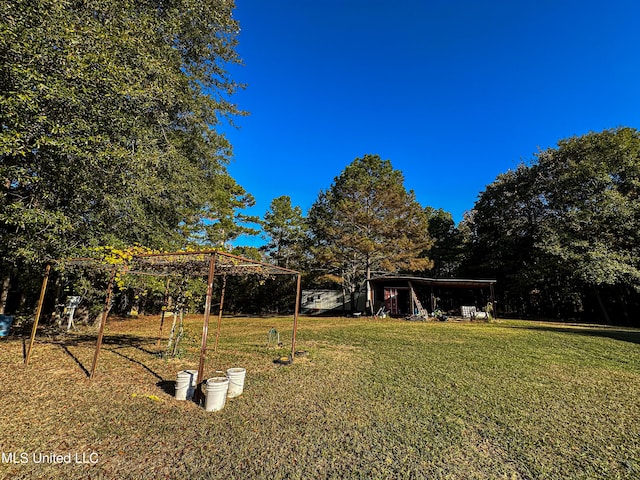 106 Crockrell Rd, Lexington, MS 39095 - view of yard