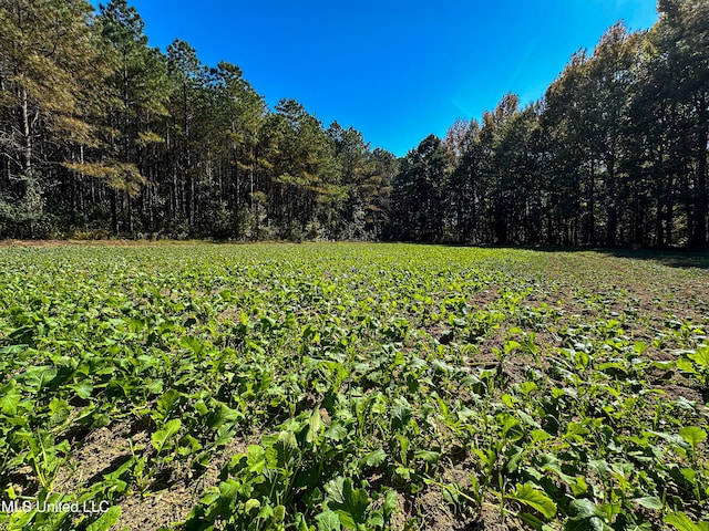 106 Crockrell Rd, Lexington, MS 39095 - view of landscape