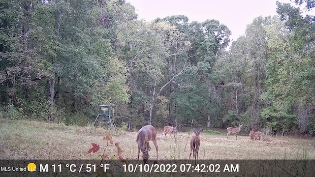 106 Crockrell Rd, Lexington, MS 39095 - view of yard featuring a rural view