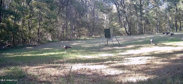 106 Crockrell Rd, Lexington, MS 39095 - view of yard
