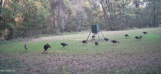 106 Crockrell Rd, Lexington, MS 39095 - view of property's community