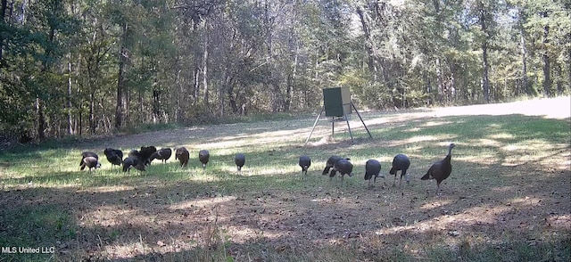 106 Crockrell Rd, Lexington, MS 39095 - view of yard with a rural view
