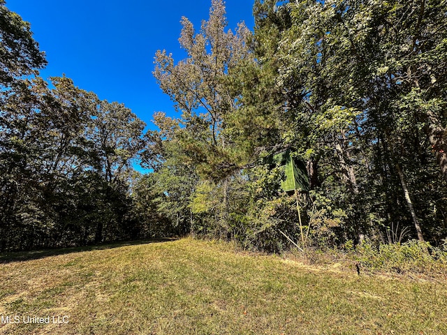 106 Crockrell Rd, Lexington, MS 39095 - view of yard