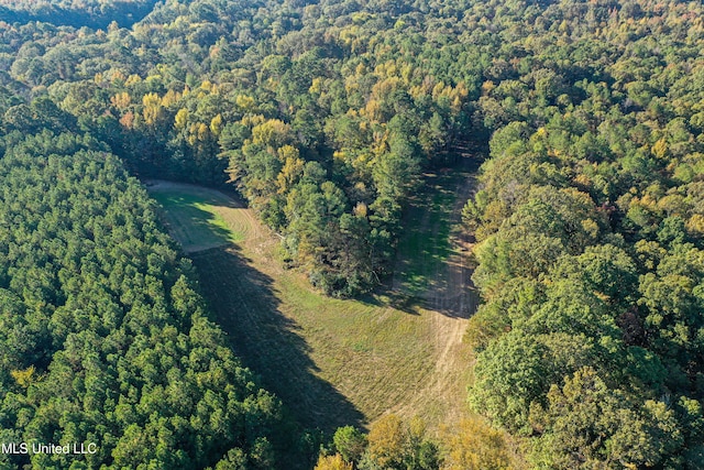 106 Crockrell Rd, Lexington, MS 39095 - aerial view