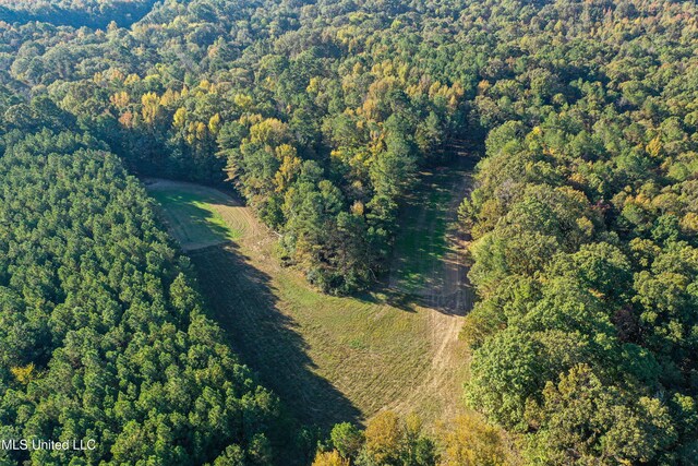 106 Crockrell Rd, Lexington, MS 39095 - view of community