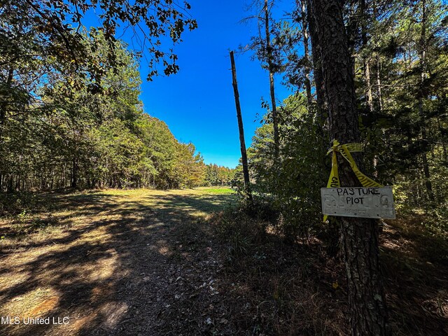 106 Crockrell Rd, Lexington, MS 39095 - birds eye view of property