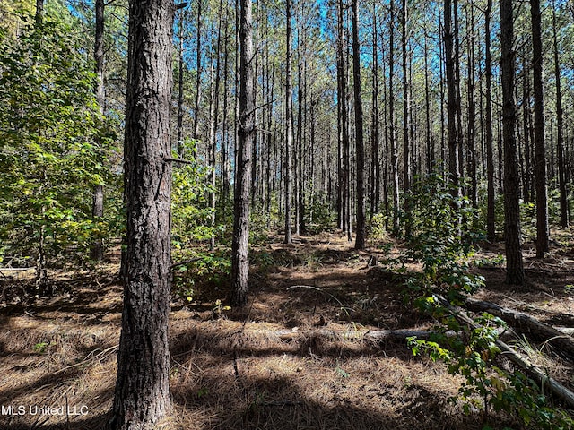 106 Crockrell Rd, Lexington, MS 39095 - view of nature