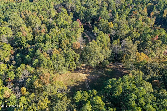 106 Crockrell Rd, Lexington, MS 39095 - bird's eye view