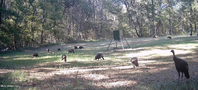 106 Crockrell Rd, Lexington, MS 39095 - surrounding community featuring a rural view