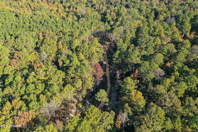 106 Crockrell Rd, Lexington, MS 39095 - birds eye view of property