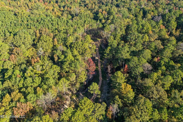 106 Crockrell Rd, Lexington, MS 39095 - view of yard
