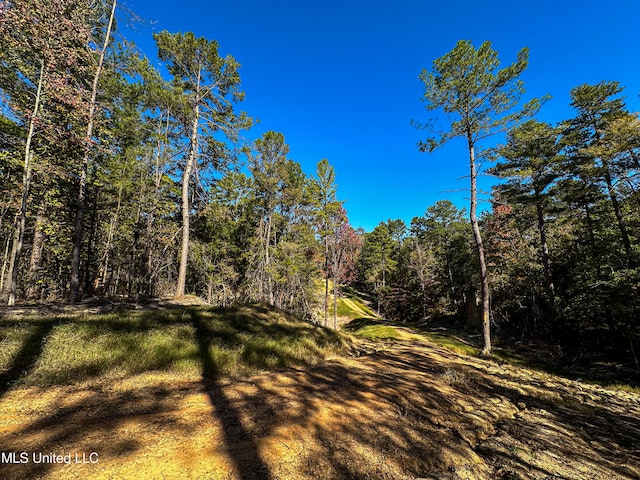 106 Crockrell Rd, Lexington, MS 39095 - view of nature