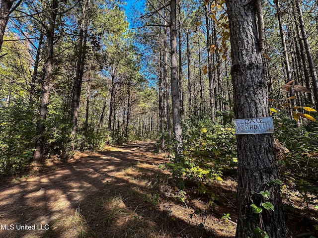 106 Crockrell Rd, Lexington, MS 39095 - view of street