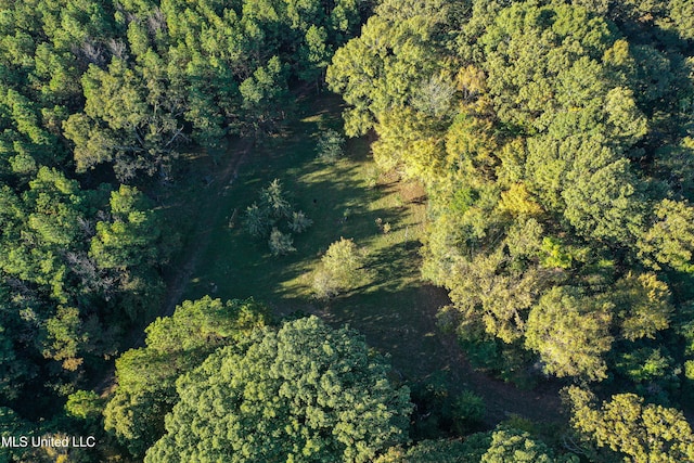 106 Crockrell Rd, Lexington, MS 39095 - bird's eye view