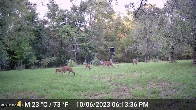 106 Crockrell Rd, Lexington, MS 39095 - view of yard with a rural view