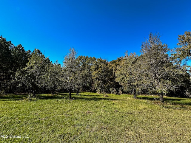 106 Crockrell Rd, Lexington, MS 39095 - view of yard