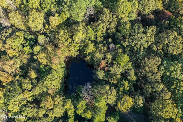 106 Crockrell Rd, Lexington, MS 39095 - drone / aerial view with a water view