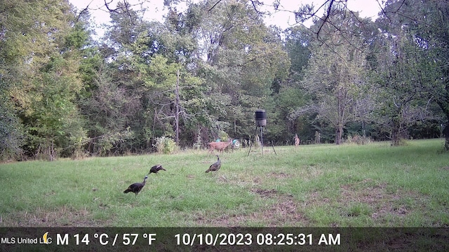 106 Crockrell Rd, Lexington, MS 39095 - view of yard