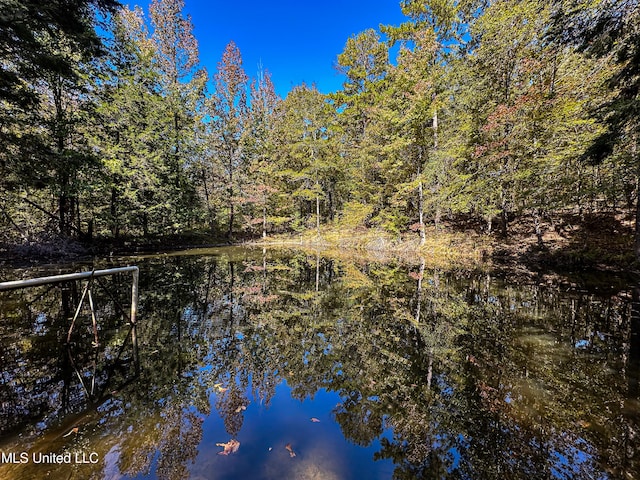 106 Crockrell Rd, Lexington, MS 39095 - property view of water