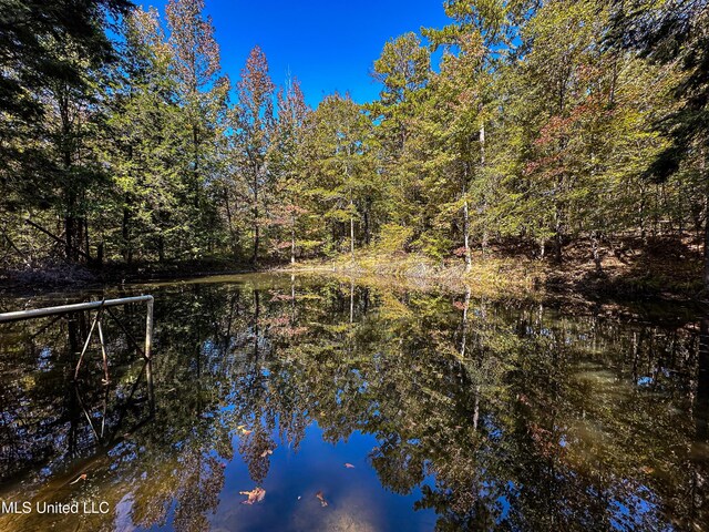 106 Crockrell Rd, Lexington, MS 39095 - drone / aerial view