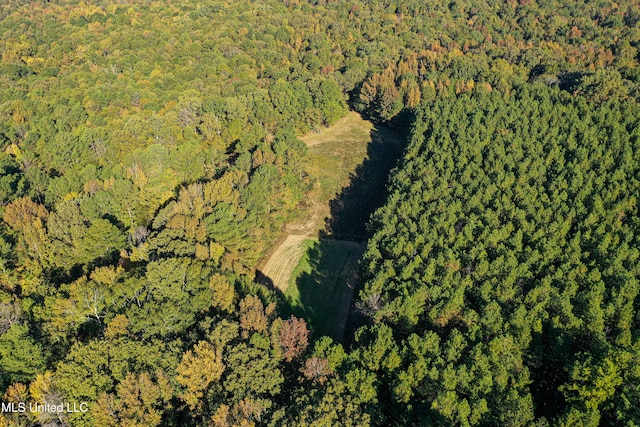 106 Crockrell Rd, Lexington, MS 39095 - aerial view