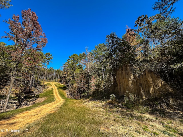 106 Crockrell Rd, Lexington, MS 39095 - view of yard