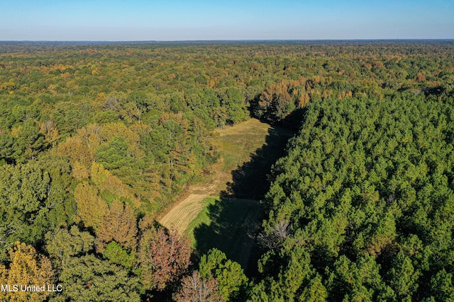 106 Crockrell Rd, Lexington, MS 39095 - drone / aerial view