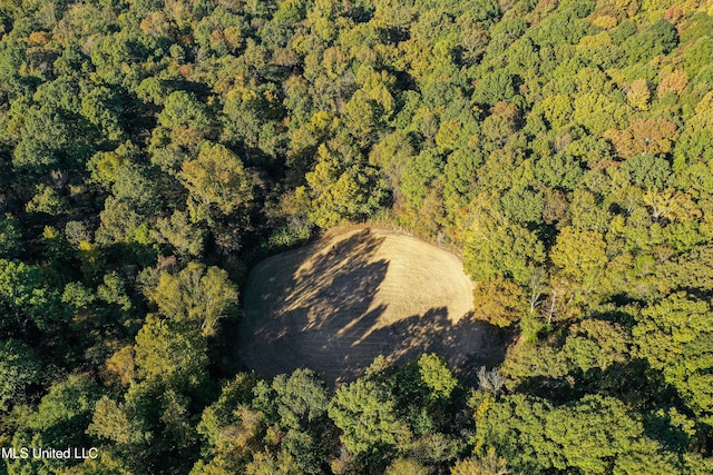 106 Crockrell Rd, Lexington, MS 39095 - birds eye view of property