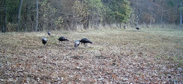 106 Crockrell Rd, Lexington, MS 39095 - view of landscape featuring a rural view