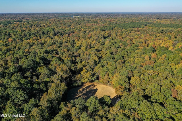 106 Crockrell Rd, Lexington, MS 39095 - aerial view