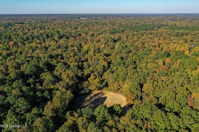 106 Crockrell Rd, Lexington, MS 39095 - view of local wilderness