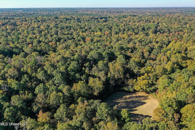 106 Crockrell Rd, Lexington, MS 39095 - view of yard