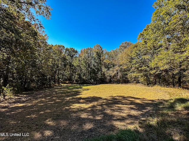 106 Crockrell Rd, Lexington, MS 39095 - view of yard