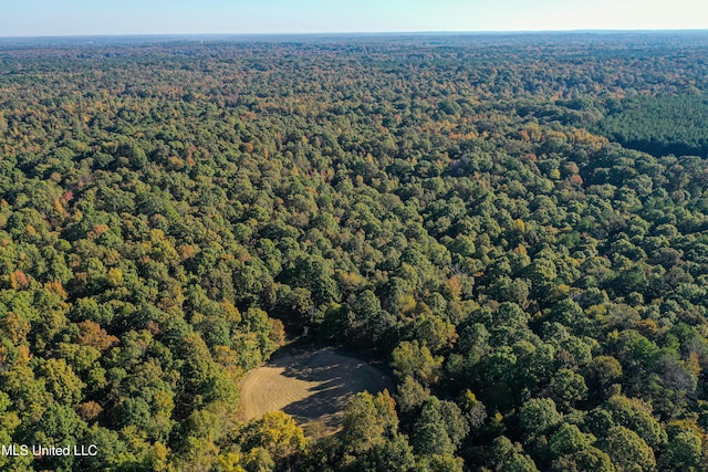 106 Crockrell Rd, Lexington, MS 39095 - drone / aerial view