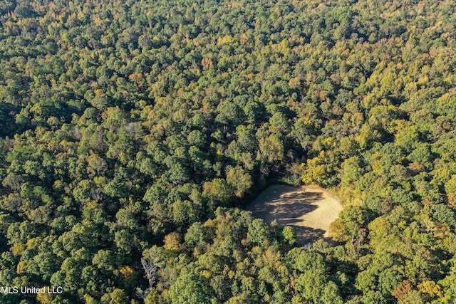 106 Crockrell Rd, Lexington, MS 39095 - aerial view
