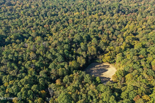 106 Crockrell Rd, Lexington, MS 39095 - view of landscape