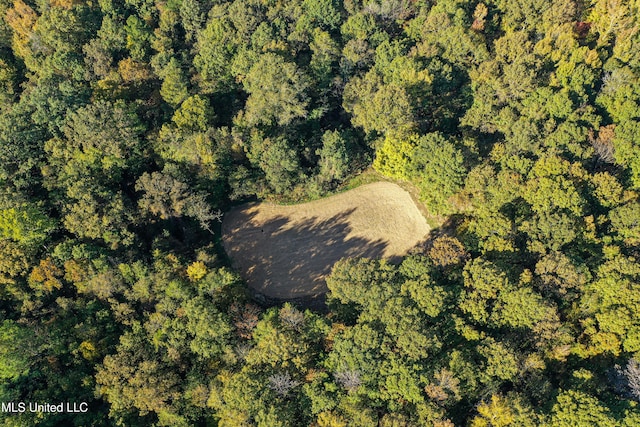 106 Crockrell Rd, Lexington, MS 39095 - aerial view