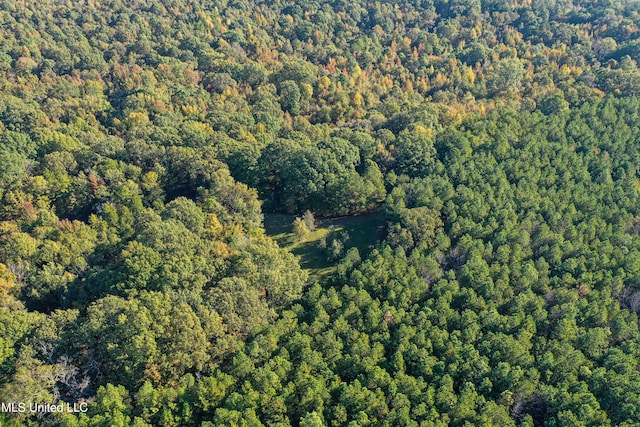 106 Crockrell Rd, Lexington, MS 39095 - drone / aerial view