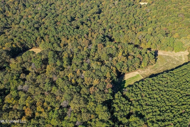 106 Crockrell Rd, Lexington, MS 39095 - bird's eye view