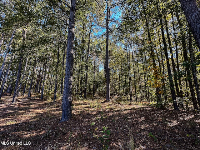 106 Crockrell Rd, Lexington, MS 39095 - view of landscape
