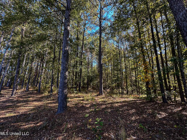 106 Crockrell Rd, Lexington, MS 39095 - view of landscape
